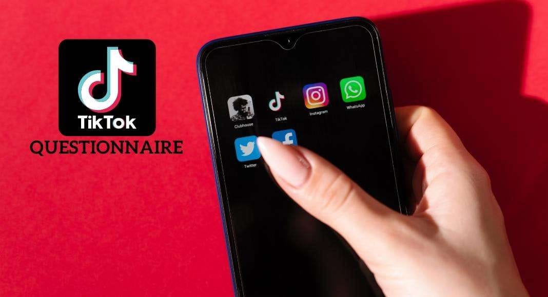 Enable TikTok Questionnaire